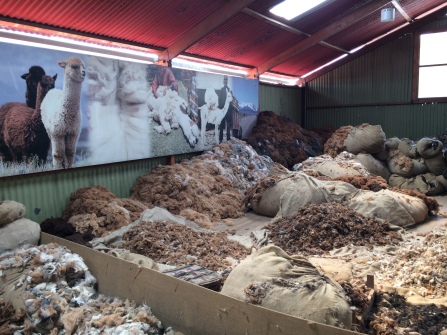 Piles of hair at Alpaca World. (Arequipa, Peru)