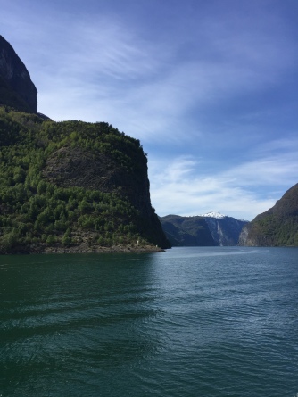 The Aurlandsfjord